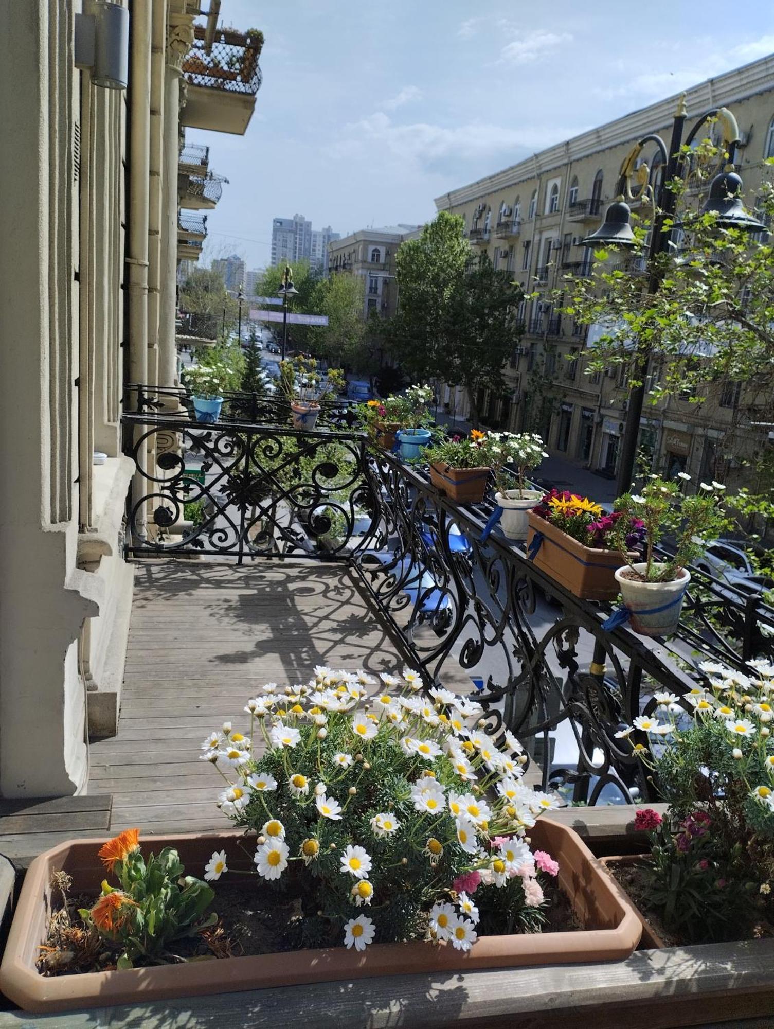 Callisto Hotel Baku Exterior foto